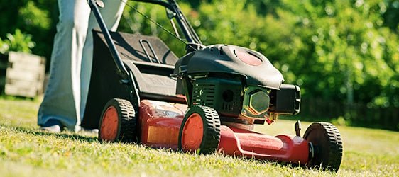 25 Ways to Burn 100+ Calories in 30 minutes or Less - BlenderBottle