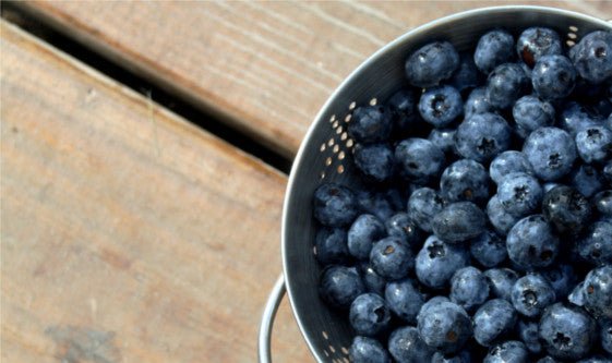 5 Easy Superfoods to Add to Your Diet - BlenderBottle