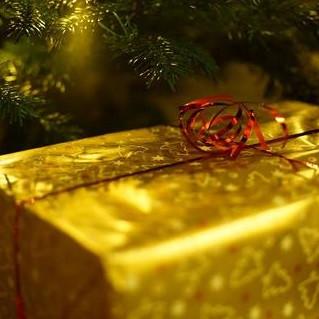 Best Tips for Staying Fit over the Holidays - BlenderBottle