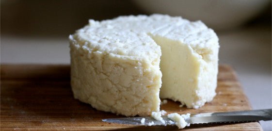 Carrageenan: Why You're Probably Eating It And Why It's Bad For You - BlenderBottle