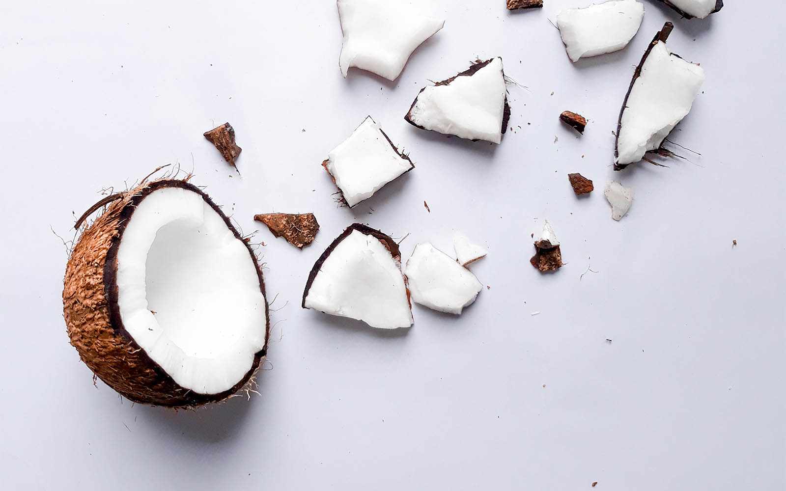 Coconut Vanilla Protein Shake - BlenderBottle