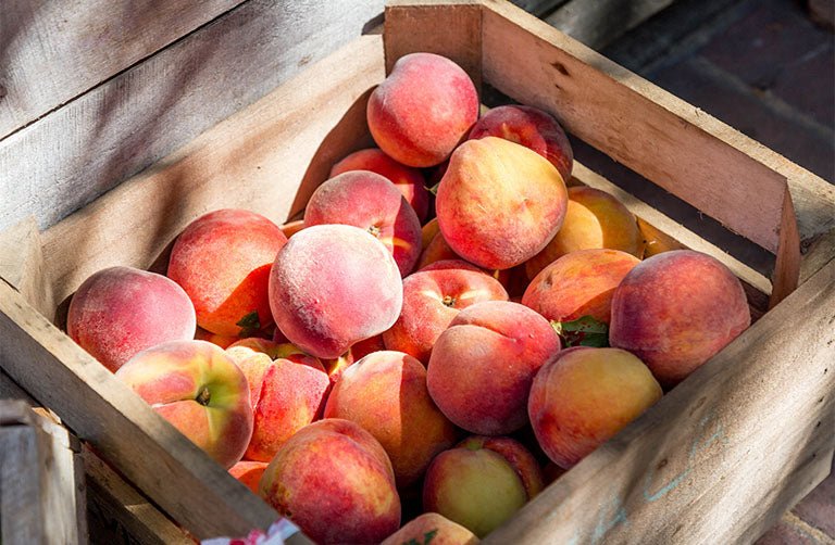 Peaches and Cream Protein Shake - BlenderBottle