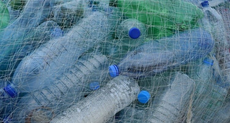 Staying Safe in a Plastic World: The How & Why of Choosing BPA-Free Bottles - BlenderBottle