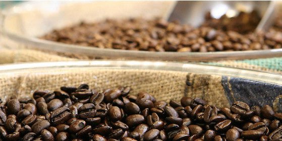 The Caffeine Effect - BlenderBottle