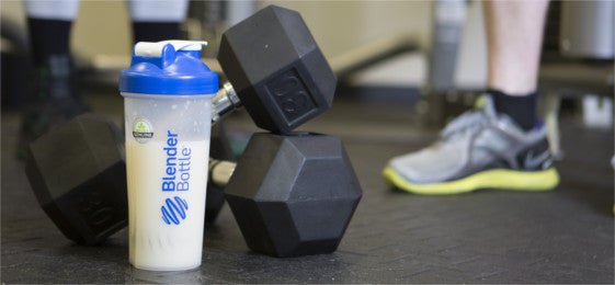7 Protein Hacks For Easier Gains - BlenderBottle