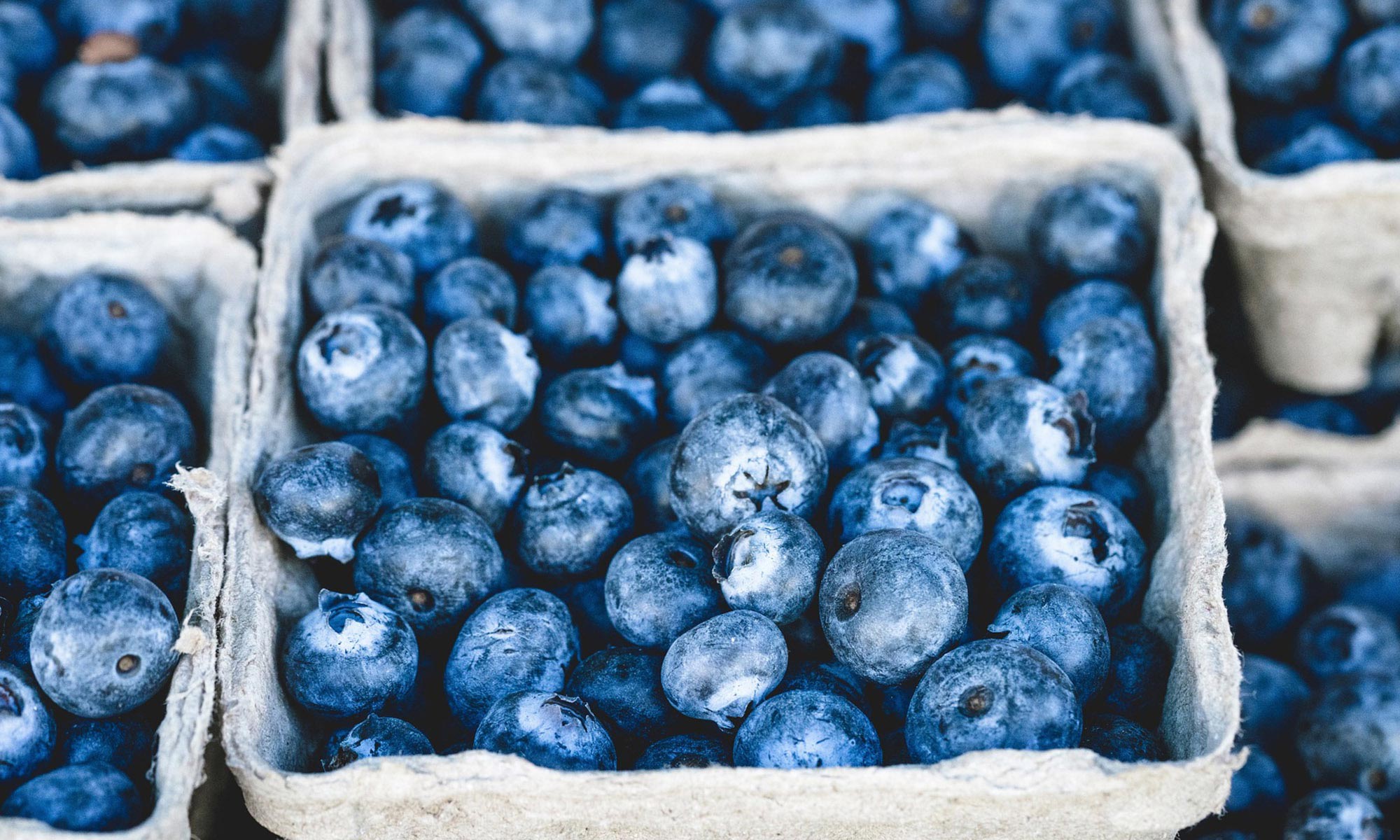 Blueberry Bananza Protein Smoothie - BlenderBottle