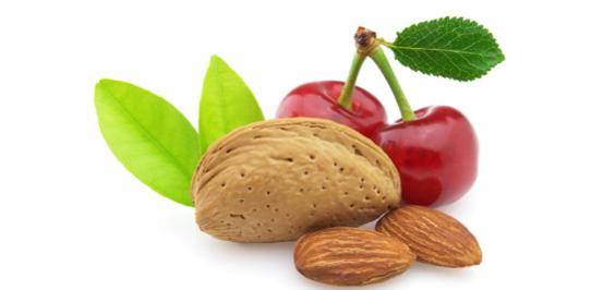 Cherry-Almond Bliss Protein Shake - BlenderBottle