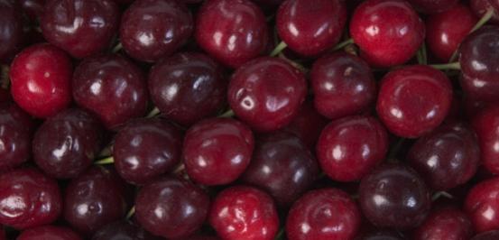 Cherry Vanilla Swirl Protein Shake - BlenderBottle