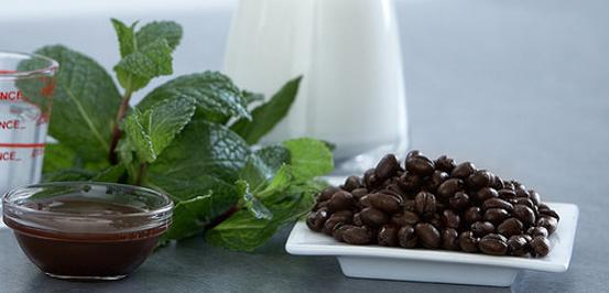 Chocolate Mocha Mint Protein Shake - BlenderBottle
