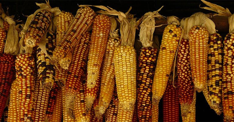 Fall Flavors: 7 Fall Recipes to Try Right Now