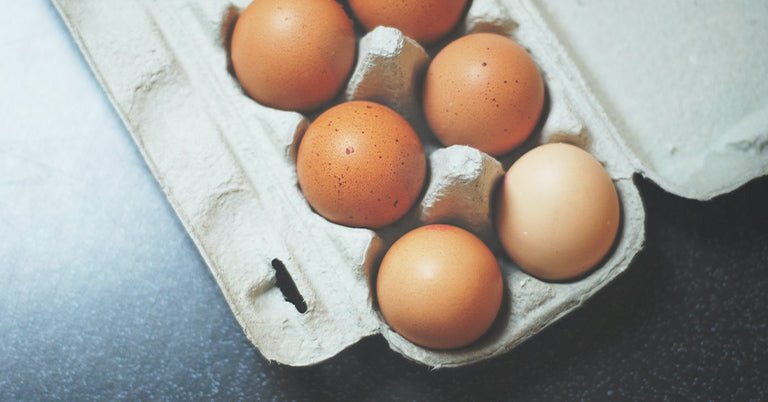 Unleash the Benefits of Egg White Protein - BlenderBottle